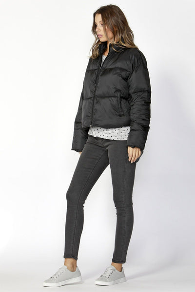 Betty Basics Dylan Cropped Puffer Jacket in Black - Hey Sara