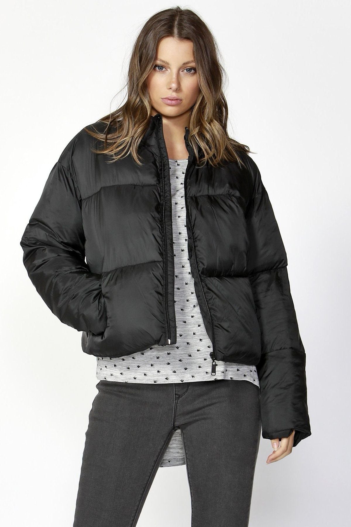 Betty Basics Dylan Cropped Puffer Jacket in Black - Hey Sara