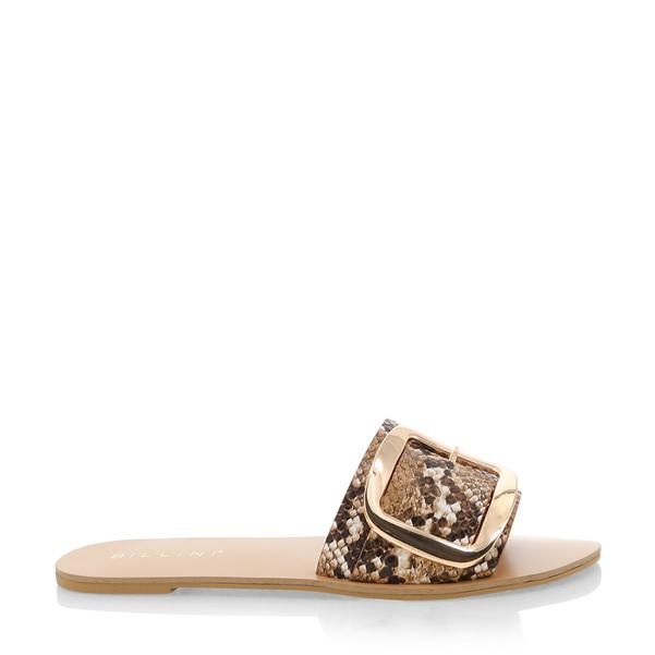 Billini Cayo Slide in Camel Snake with Gold Trim - Hey Sara